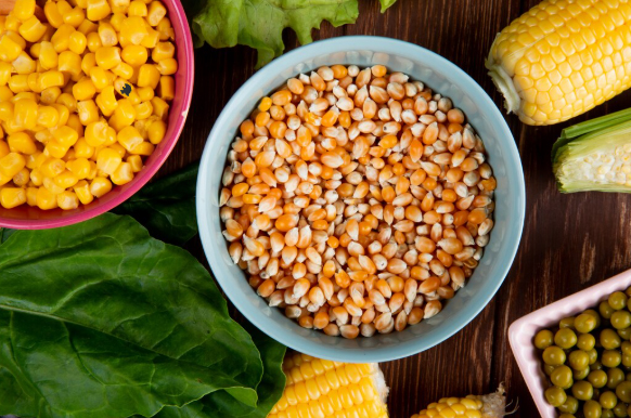 Star Enterprises Import and Export